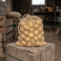 Yukon Gold Seed Potatoes — 5 lb Bag